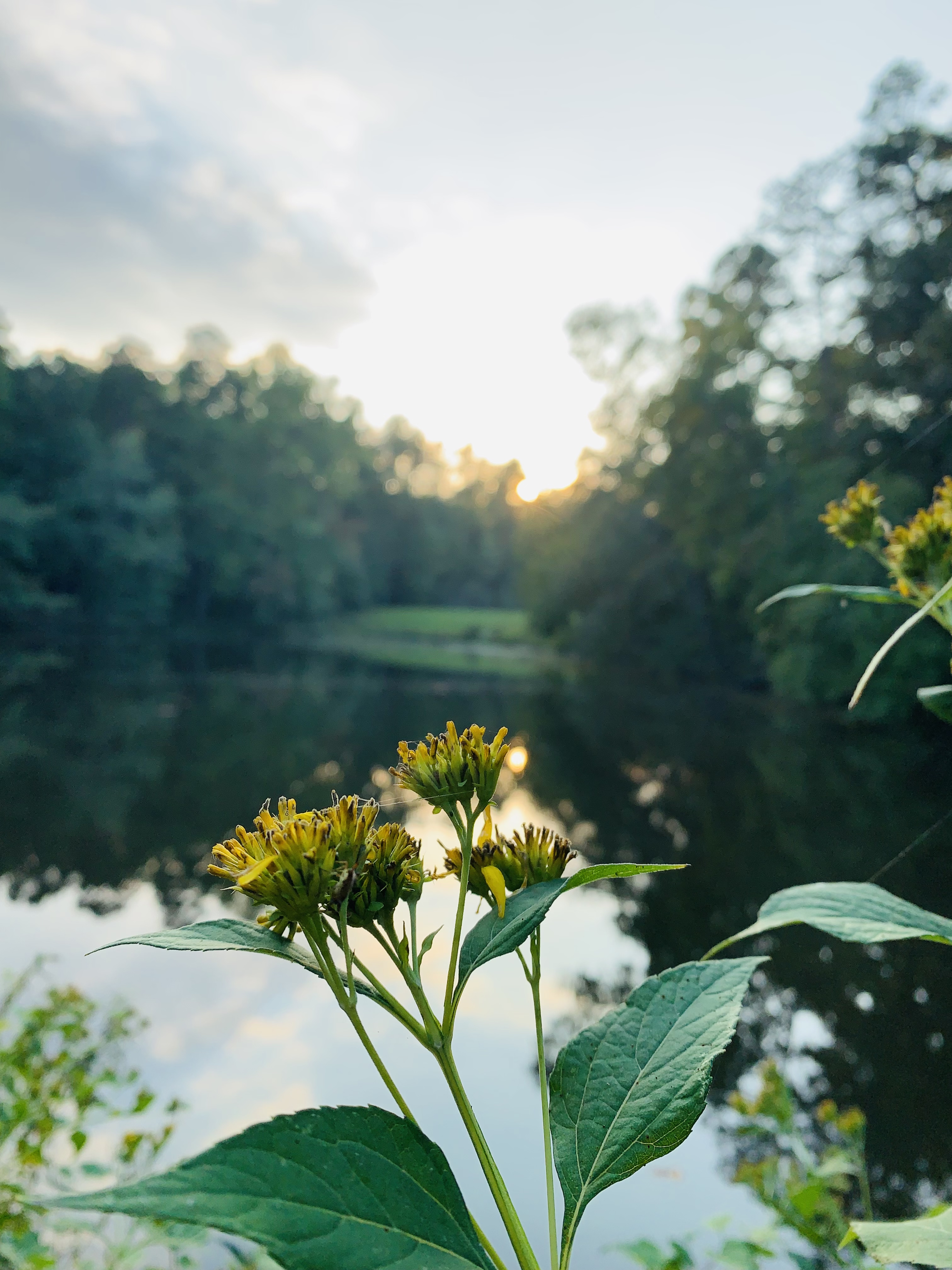 Greensboro, NC